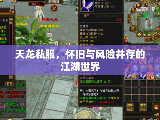 天龙私服，怀旧与风险并存的江湖世界