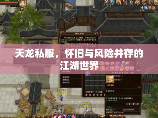 天龙私服，怀旧与风险并存的江湖世界