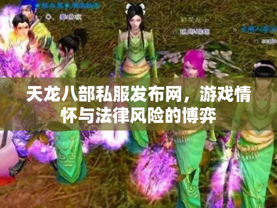 天龙八部私服发布网，游戏情怀与法律风险的博弈