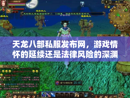 天龙八部私服发布网，游戏情怀的延续还是法律风险的深渊？