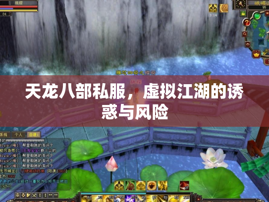 天龙八部私服，虚拟江湖的诱惑与风险