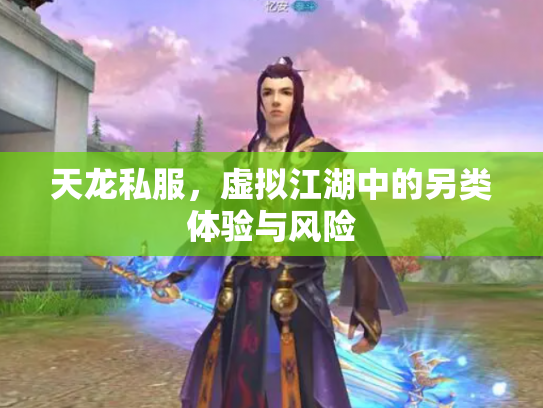 天龙私服，虚拟江湖中的另类体验与风险