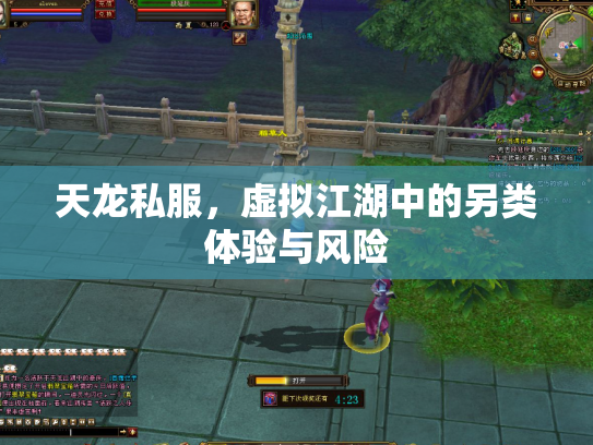 天龙私服，虚拟江湖中的另类体验与风险