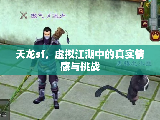 天龙sf，虚拟江湖中的真实情感与挑战