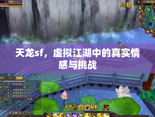 天龙sf，虚拟江湖中的真实情感与挑战
