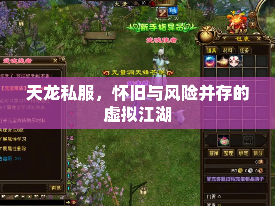 天龙私服，怀旧与风险并存的虚拟江湖