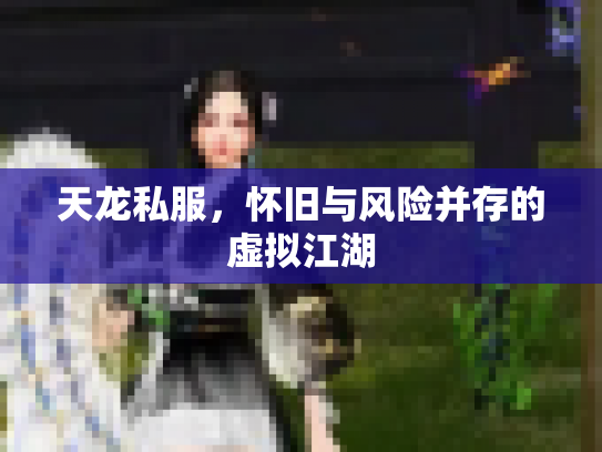 天龙私服，怀旧与风险并存的虚拟江湖