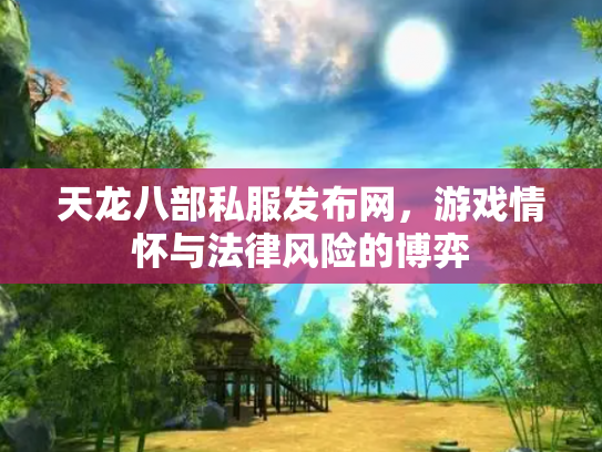 天龙八部私服发布网，游戏情怀与法律风险的博弈