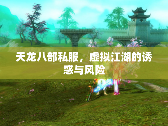 天龙八部私服，虚拟江湖的诱惑与风险