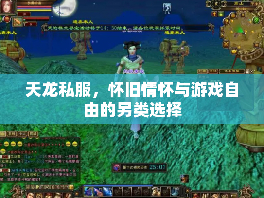 天龙私服，怀旧情怀与游戏自由的另类选择