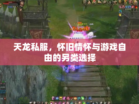 天龙私服，怀旧情怀与游戏自由的另类选择