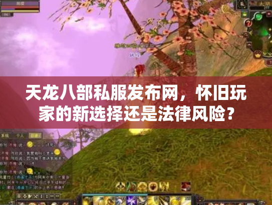 天龙八部私服发布网，怀旧玩家的新选择还是法律风险？