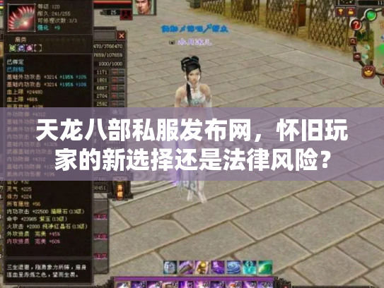 天龙八部私服发布网，怀旧玩家的新选择还是法律风险？