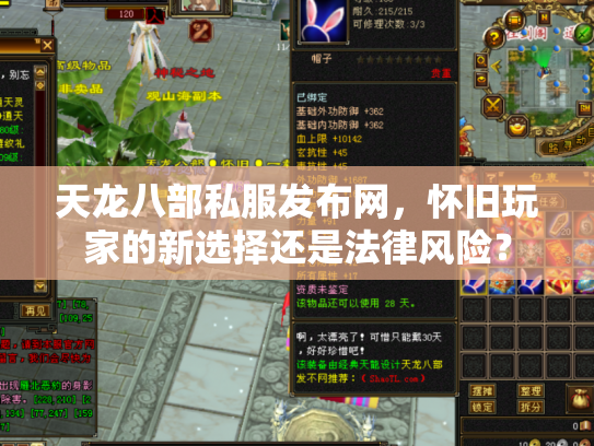 天龙八部私服发布网，怀旧玩家的新选择还是法律风险？