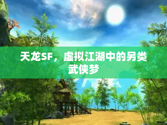 天龙SF，虚拟江湖中的另类武侠梦