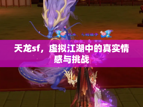 天龙sf，虚拟江湖中的真实情感与挑战