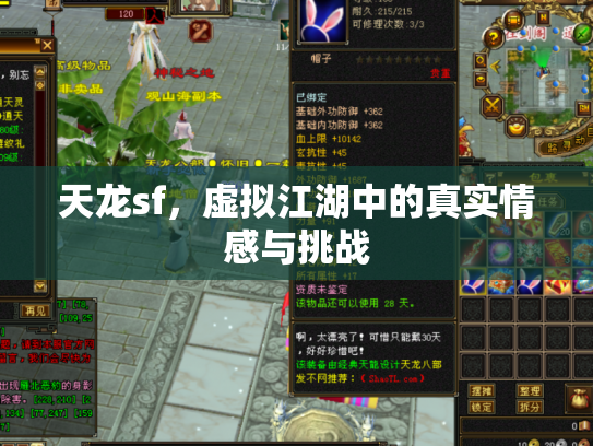 天龙sf，虚拟江湖中的真实情感与挑战
