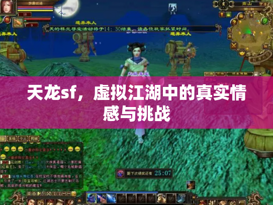 天龙sf，虚拟江湖中的真实情感与挑战