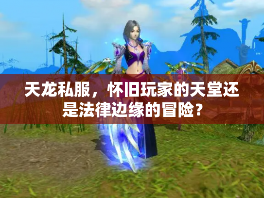 天龙私服，怀旧玩家的天堂还是法律边缘的冒险？