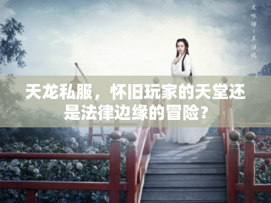 天龙私服，怀旧玩家的天堂还是法律边缘的冒险？