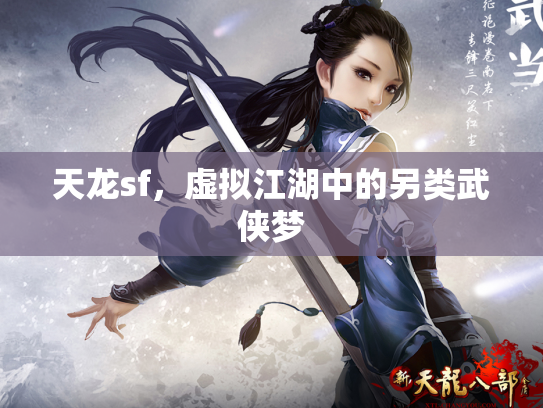 天龙sf，虚拟江湖中的另类武侠梦