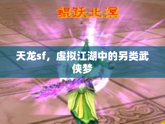 天龙sf，虚拟江湖中的另类武侠梦