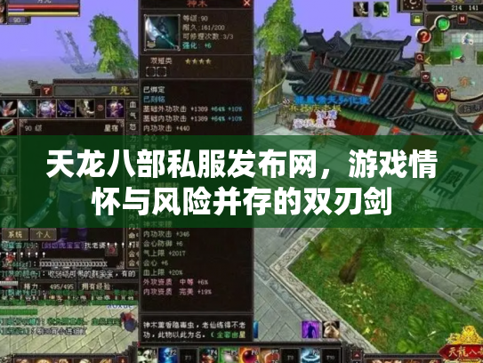 天龙八部私服发布网，游戏情怀与风险并存的双刃剑