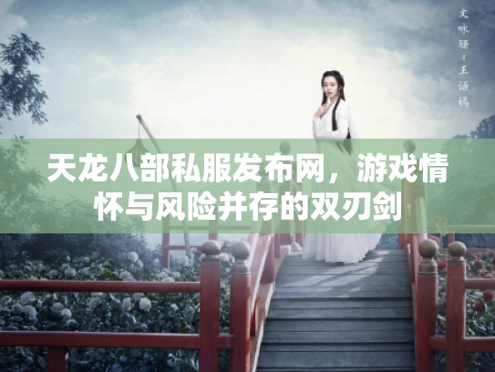 天龙八部私服发布网，游戏情怀与风险并存的双刃剑