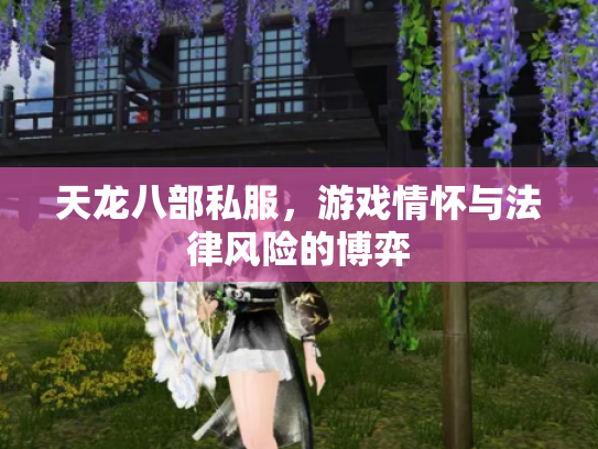 天龙八部私服，游戏情怀与法律风险的博弈