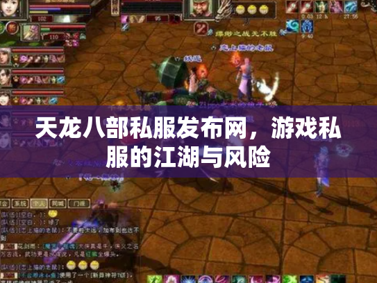 天龙八部私服发布网，游戏私服的江湖与风险