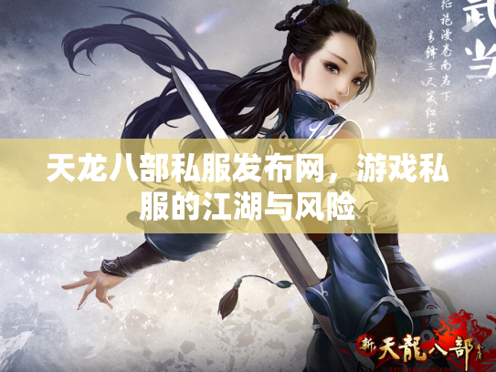 天龙八部私服发布网，游戏私服的江湖与风险