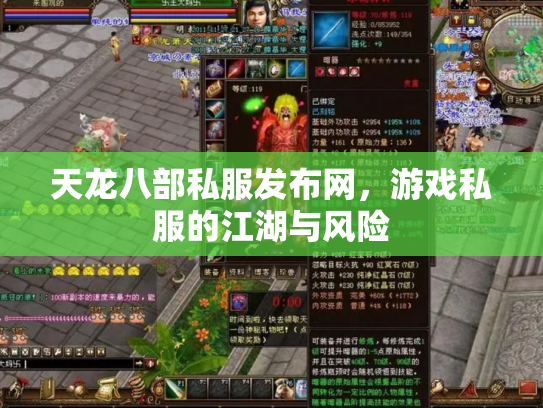 天龙八部私服发布网，游戏私服的江湖与风险