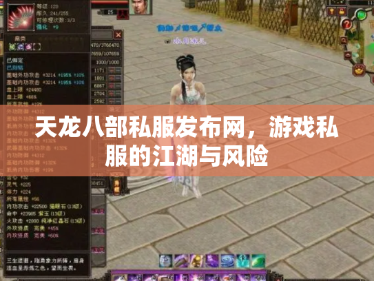 天龙八部私服发布网，游戏私服的江湖与风险