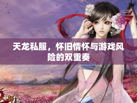天龙私服，怀旧情怀与游戏风险的双重奏