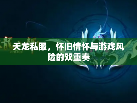 天龙私服，怀旧情怀与游戏风险的双重奏