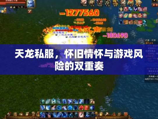天龙私服，怀旧情怀与游戏风险的双重奏
