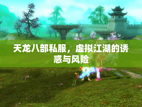 天龙八部私服，虚拟江湖的诱惑与风险
