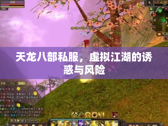 天龙八部私服，虚拟江湖的诱惑与风险