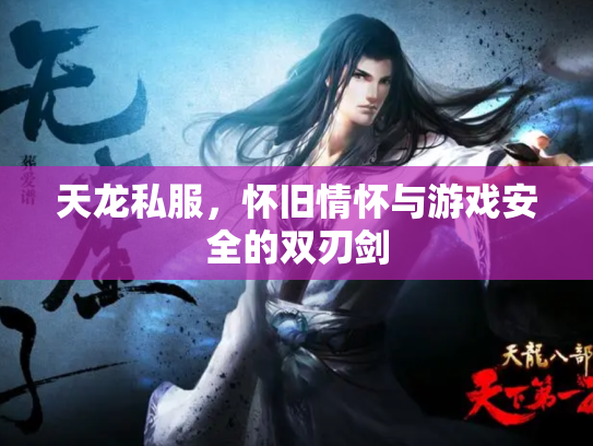 天龙私服，怀旧情怀与游戏安全的双刃剑