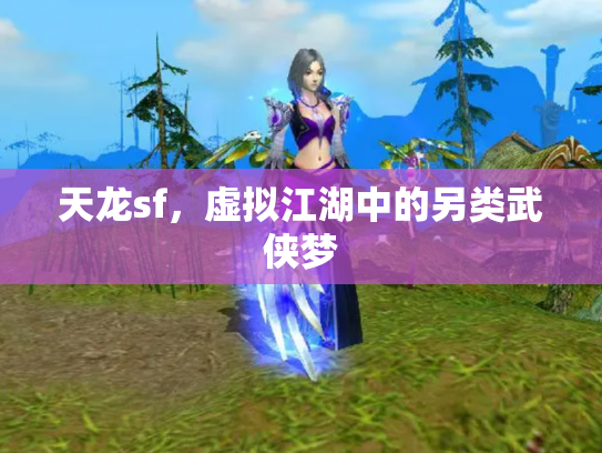 天龙sf，虚拟江湖中的另类武侠梦