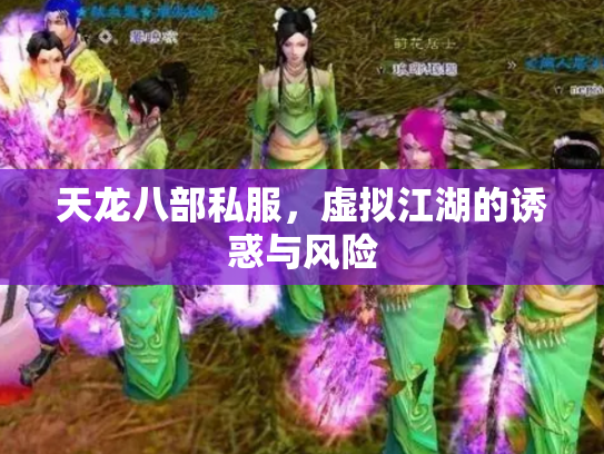天龙八部私服，虚拟江湖的诱惑与风险