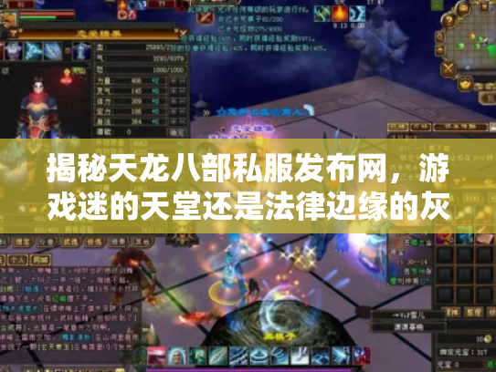 揭秘天龙八部私服发布网，游戏迷的天堂还是法律边缘的灰色地带？