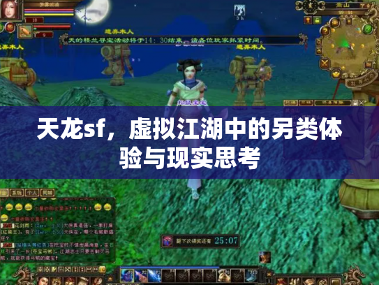 天龙sf，虚拟江湖中的另类体验与现实思考