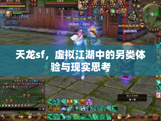 天龙sf，虚拟江湖中的另类体验与现实思考