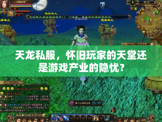 天龙私服，怀旧玩家的天堂还是游戏产业的隐忧？
