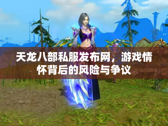 天龙八部私服发布网，游戏情怀背后的风险与争议