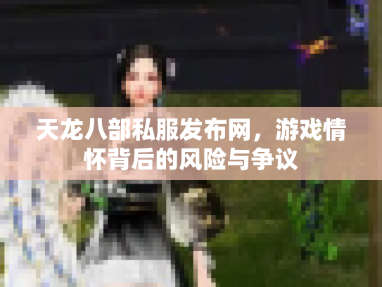 天龙八部私服发布网，游戏情怀背后的风险与争议