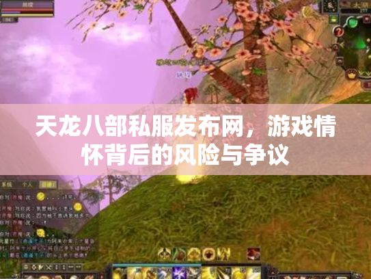 天龙八部私服发布网，游戏情怀背后的风险与争议
