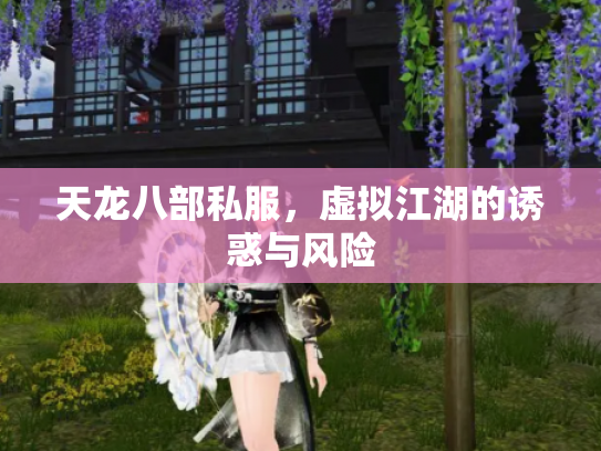 天龙八部私服，虚拟江湖的诱惑与风险