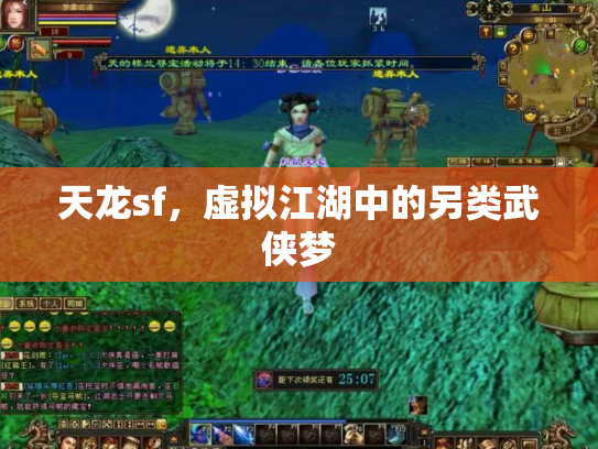 天龙sf，虚拟江湖中的另类武侠梦